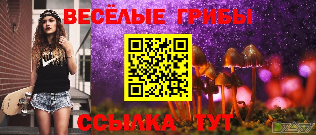 Псилоцибиновые грибы GOLDEN TEACHER  Галлюциногенные грибы мухоморы  Вход с VPN  Жуковский 